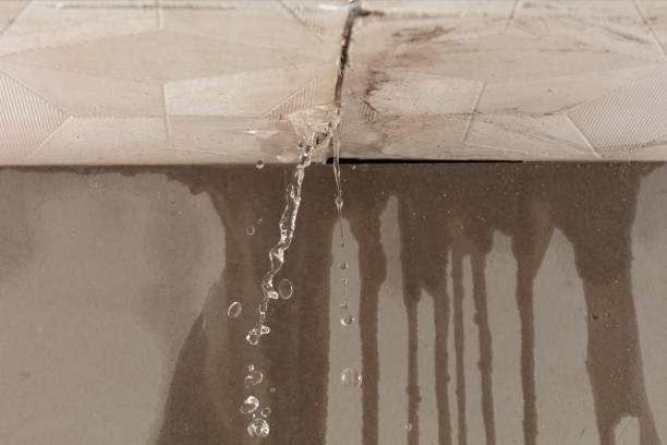 Professional Water Damage Inspection technician working in Atlantic Beach, NY